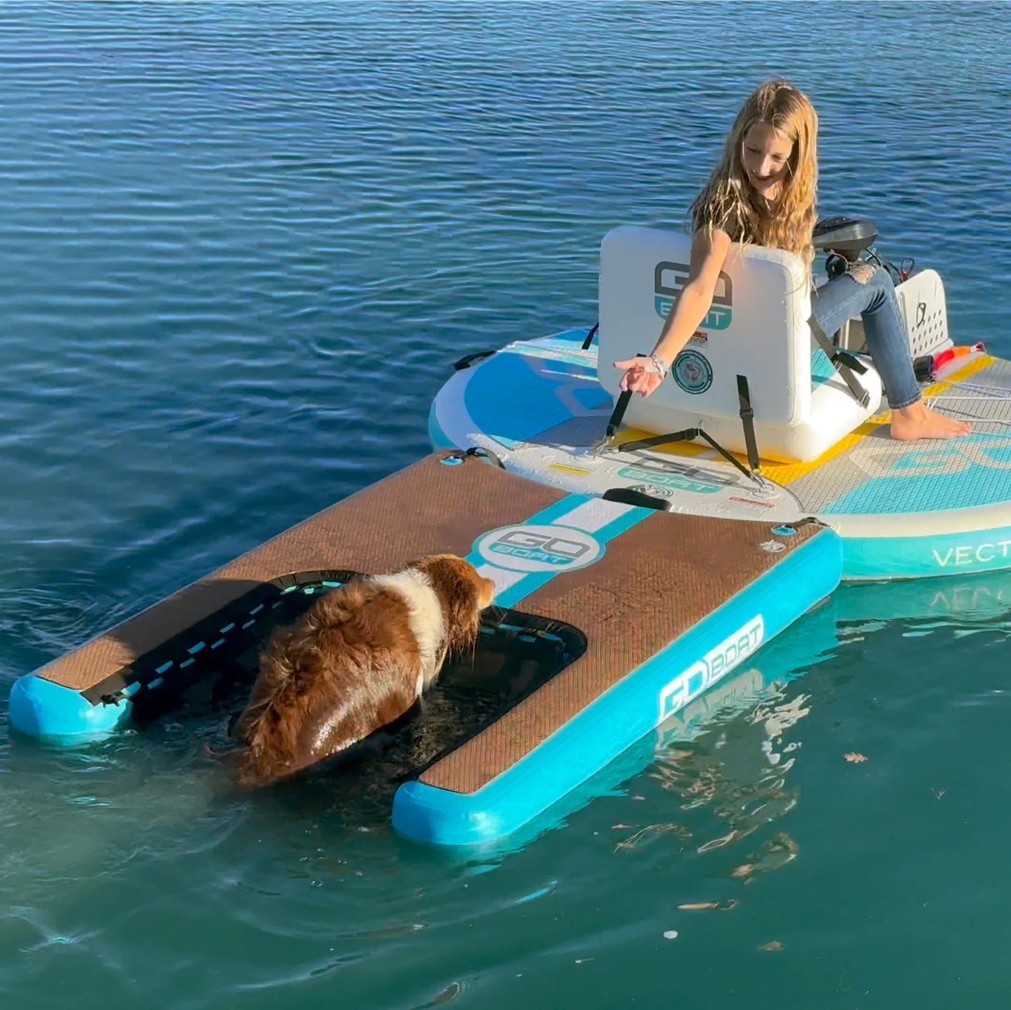 Dog Dock